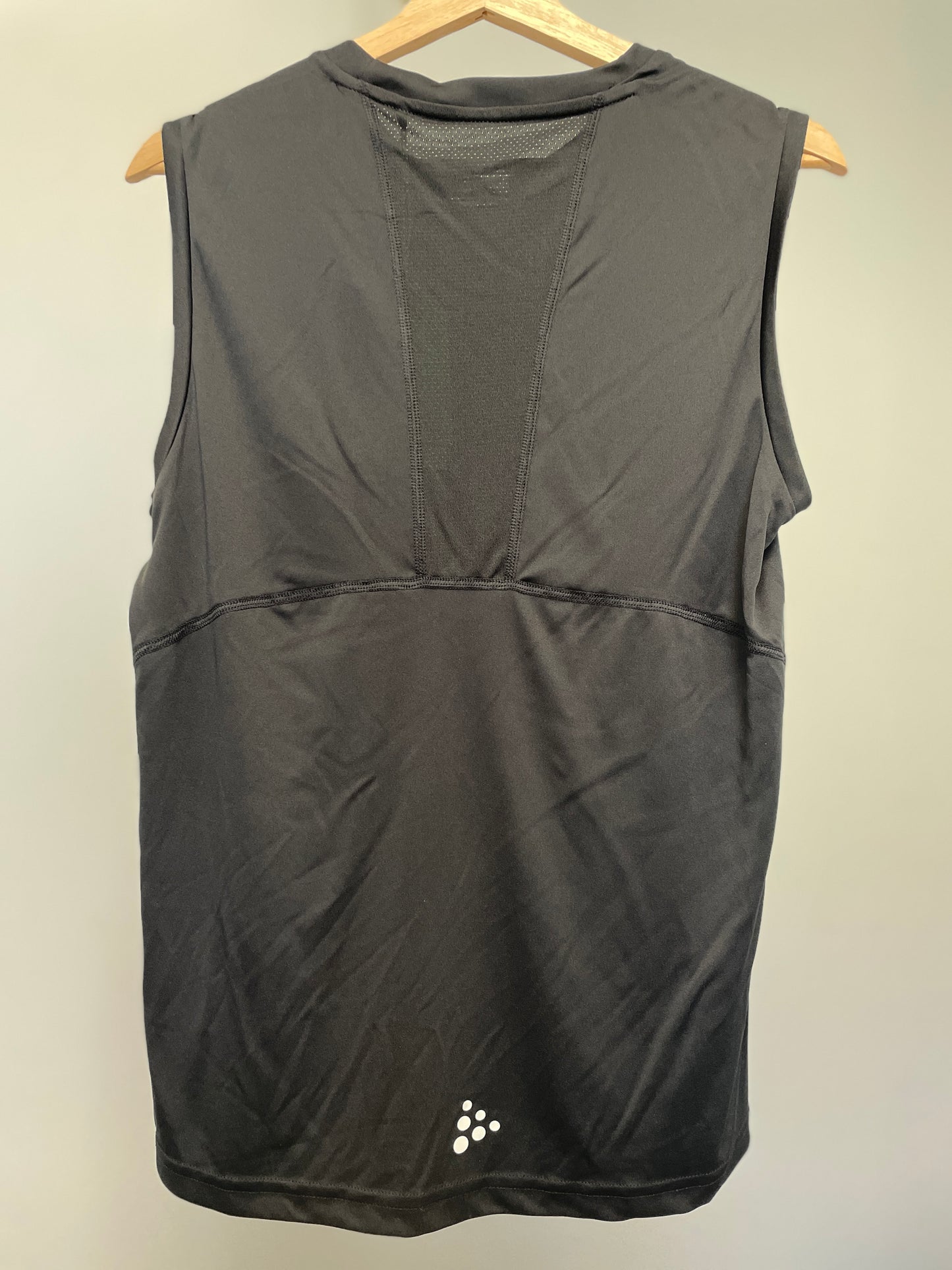 Men's Big Sky Run Co + Craft Singlet