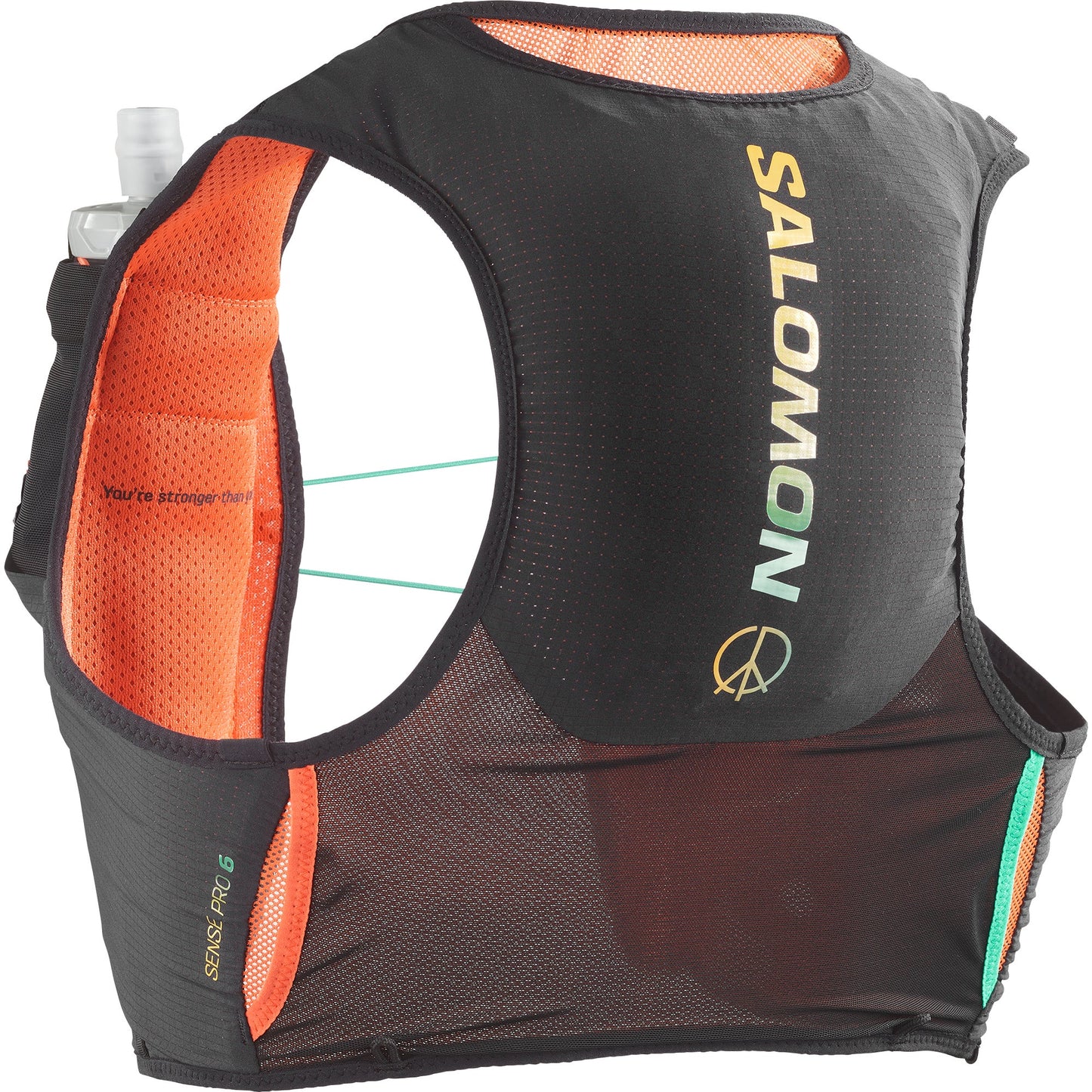 Salomon Sense Pro 6 Hydration Vest