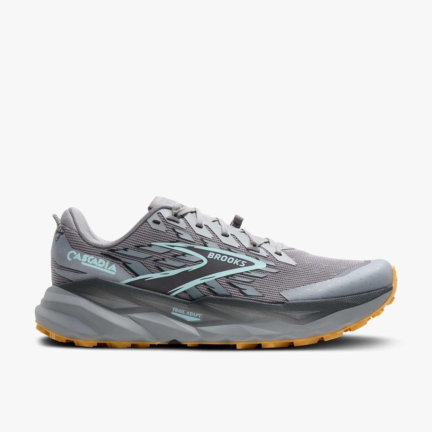 Men's Brooks Cascadia 19