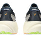 Men's Asics Kayano 30