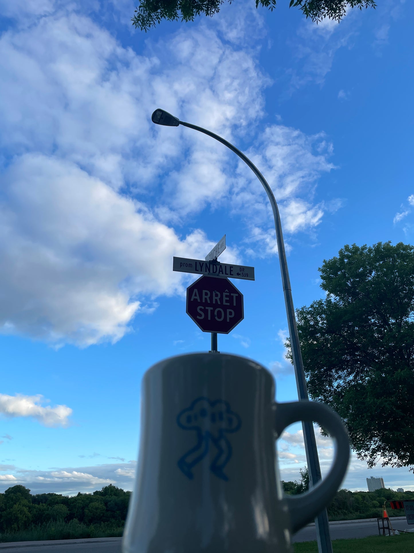 Big Sky Run Co Diner Cup