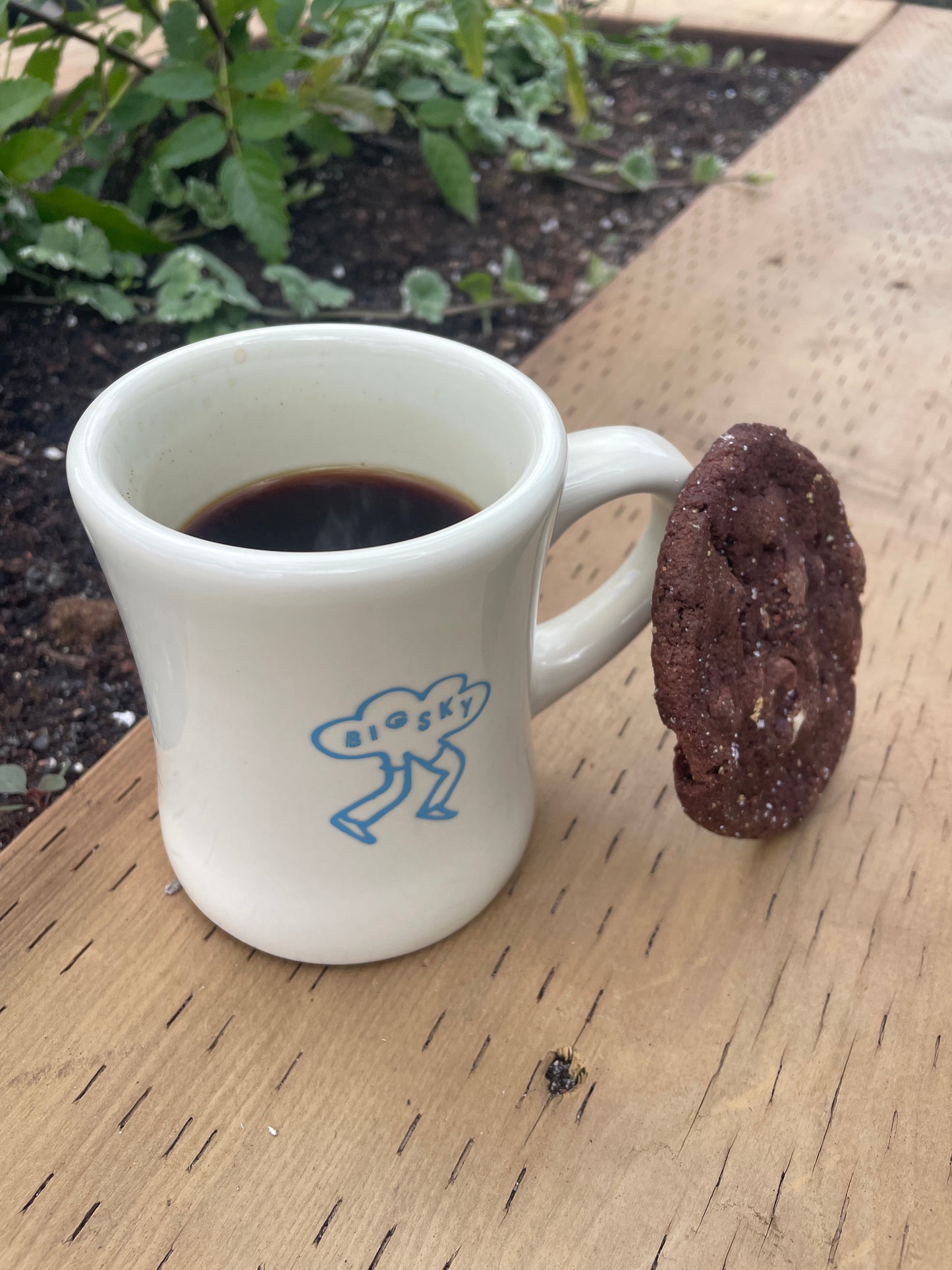 Big Sky Run Co Diner Cup