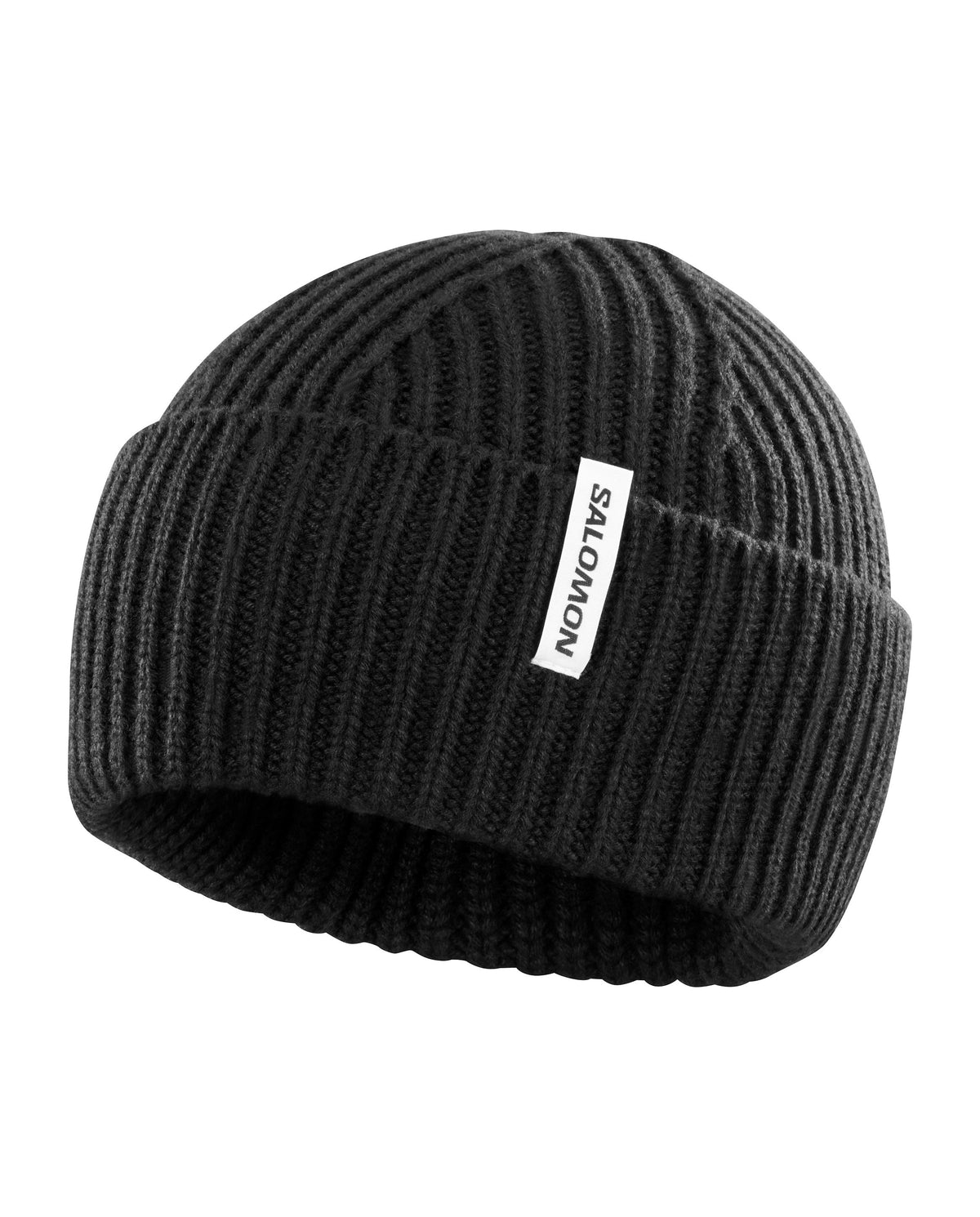 Salomon Snowbird Toque