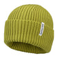 Salomon Snowbird Toque