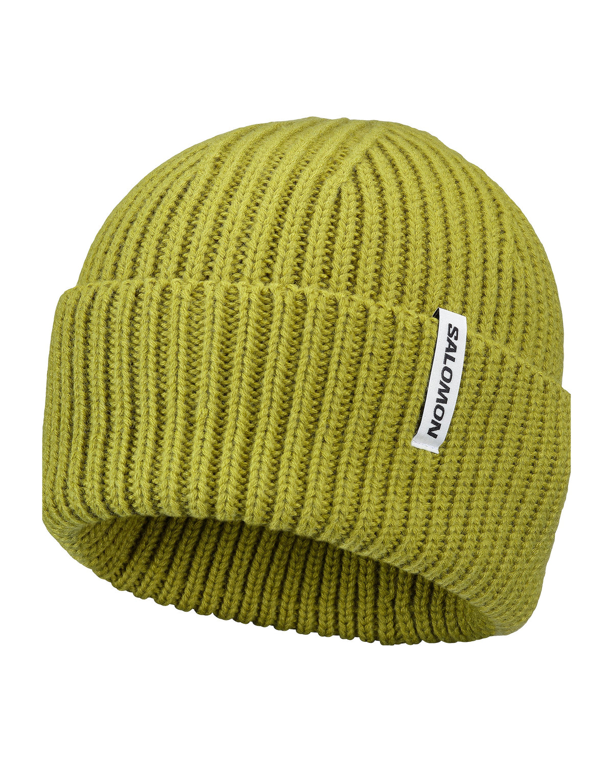 Salomon Snowbird Toque
