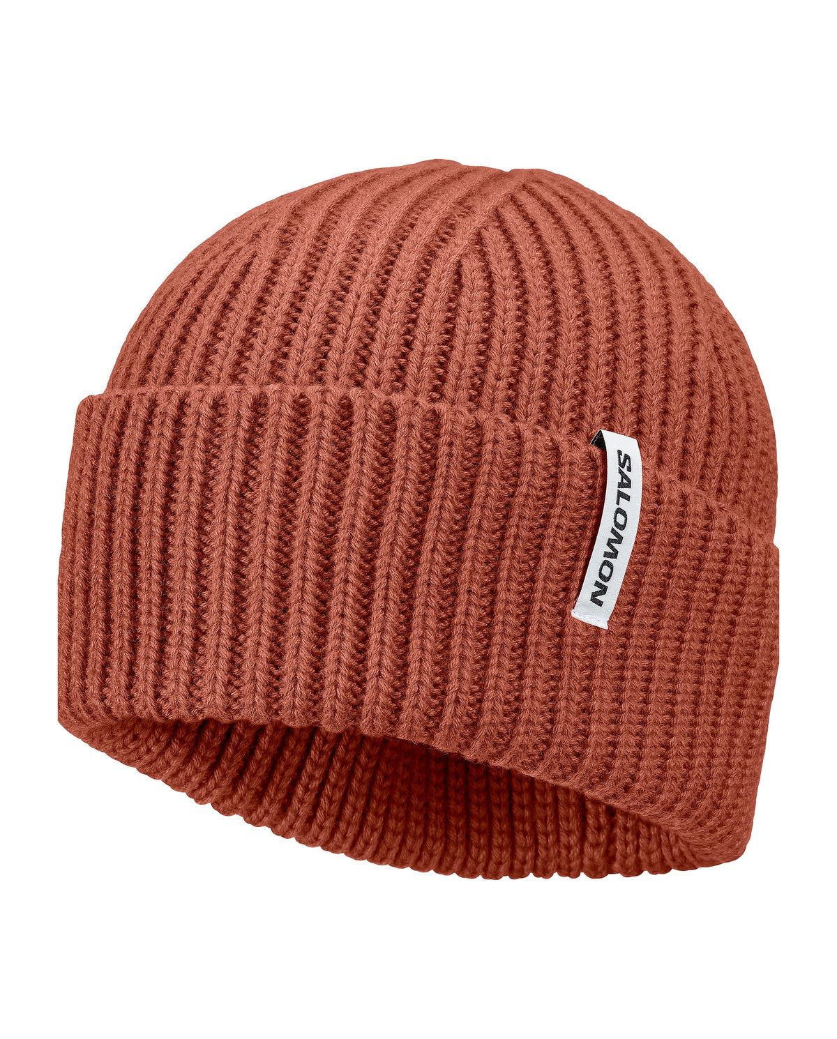Salomon Snowbird Toque