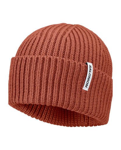 Salomon Snowbird Toque