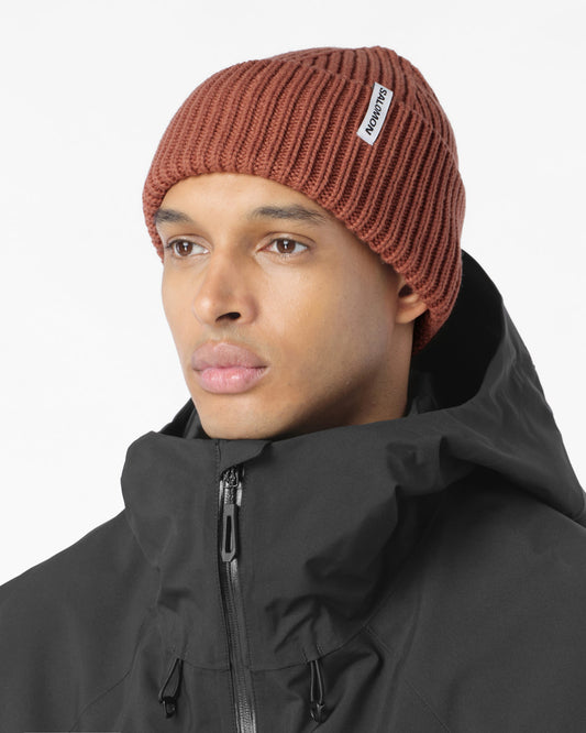Salomon Snowbird Toque