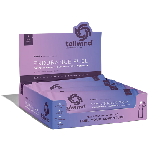 Tailwind Endurance Fuel Individual Packet